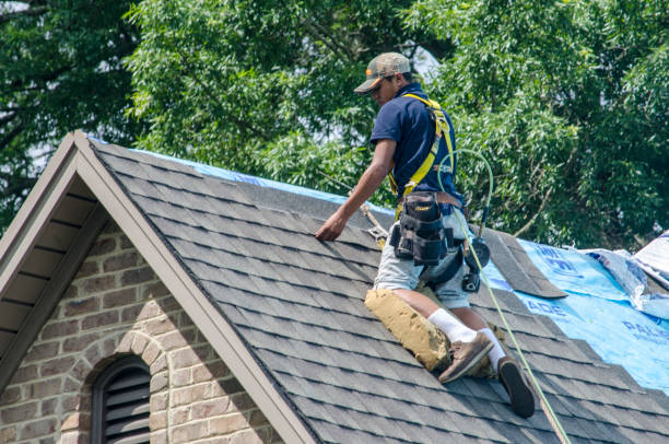 Roof Gutter Cleaning in Wallace, LA